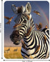 Magnet - Jailbird from Deluxebase. Lenticular 3D Zebra Fridge Magnet. Magnetic Decor for Kids and Adults with Artwork Licensed from Renowned Artis...
