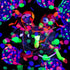 10000 pieces UV Neon Round Confetti 5 Colors Neon Fluorescent Tissue Confetti Dot Blacklight Glow Party Confetti for Blacklight Neon Party, Birthd...