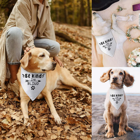 Be Kind I’m Blind Triangle Dog Bandana Funny Dog Bandana Puppy Bandana Triangle Bibs Scarf Accessories for Small Medium Dogs Pets...