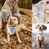 Be Kind I’m Blind Triangle Dog Bandana Funny Dog Bandana Puppy Bandana Triangle Bibs Scarf Accessories for Small Medium Dogs Pets...