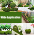 Nicunom 50 Pcs 5 Size Artificial Moss Rocks Decorative, Faux Green Moss Decor Balls for Floral Arrangements, Fairy Gardens and Crafting...