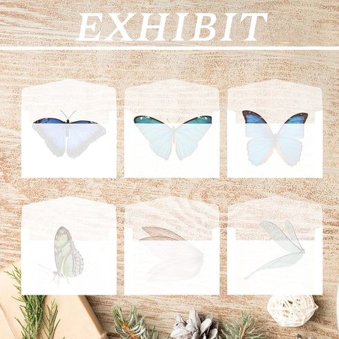 50 Pcs Glassine Envelopes, 3.9 x 2.7 Inches Clear Envelopes for Seeds Coin Collecting Lottery Ticket Stamp Card, White Translucent Paper Envelopes...