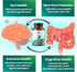 Layer Origin | PureHMO Human Milk Oligosaccharide (HMO 2'-FL) Prebiotic - Feed 180 Billion Probiotics/Serving, 30-Day Supply...