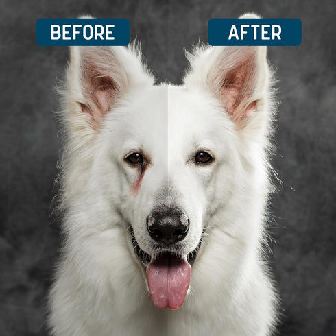 Tear Stain Remover for Dogs and Cats - 4 oz Solution - Dissolves Eye Buildup and Gunk, Reduces Staining - Water Based with Aloe Vera and Cucumber ...