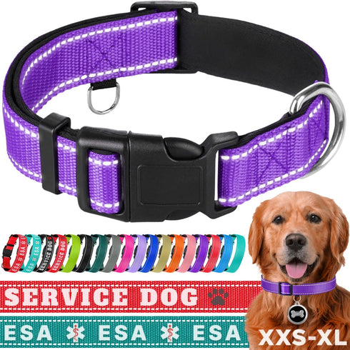 TECEUM Reflective Pet Collar – Purple – L – Extra Soft Padding – Basic Nylon Dog Collar – Quick Release Buckle – Fits Small, Medium and Large Dogs...