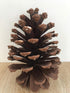 DKKRRNT PineCones Tall Bulk Package All Natural,Real Preserved Pine Cones Big Pinecones and Perfect Natural Pine Cones for Christmas Hanging Ornam...