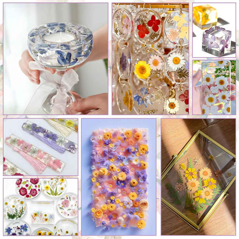 300+Pcs Small Dried Flowers for Crafts with Tweezer - Colorful Real Natural Mini Dried Flowers for Resin, Tiny Dried Pressed Flowers for DIY Jewel...