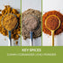 Savory Spice Carne Asada Spice & Easy Meal Starter Spice Mix | Carne Asada Seasoning Packet & Marinade Kit for Tacos (Net: 1.5 oz)...