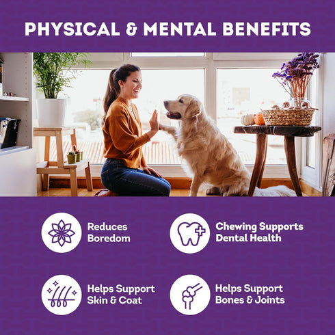 USA Collagen Braids 6-7" Dog Chew Treats - Chicken Meat Flavor, 6 Count/1 Pack...