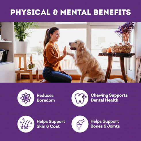 USA Collagen Chips Assorted Dog Chew Treats - Natural Flavor, 14oz/1 Pack...