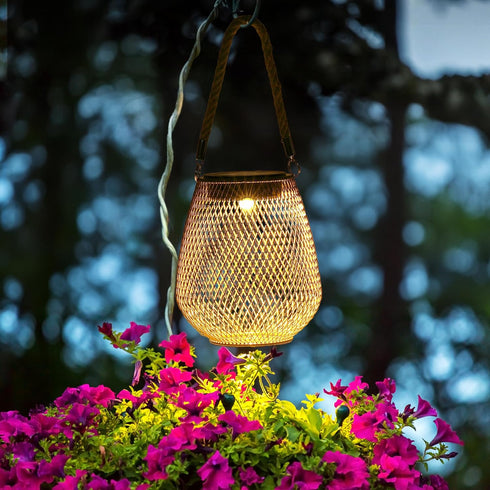 Cooo Solar Lanterns Outdoor Waterproof Hanging Metal Light 1 Pack with Handle, Outdoor Table Lamp Warm White Gardern Lanterns Lights Star Design L...