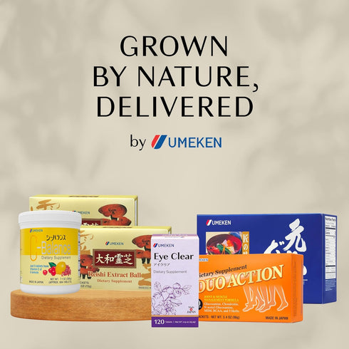 Umeken Takumi Stock Powder, Dashi Japanese Packets for Flavoring your Meals, Umami, Japanese Bonito & Dashi Seasoning Powder with 4 Portions per P...