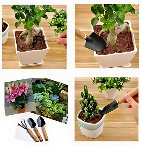 Garden Tool Set - Minature Steel Gardening Hand Tools Kit with Ergonomic Wooden Handles | Includes Trowel, Transplanter, Cultivator | Perfect Gard...