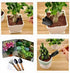 Garden Tool Set - Minature Steel Gardening Hand Tools Kit with Ergonomic Wooden Handles | Includes Trowel, Transplanter, Cultivator | Perfect Gard...