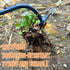 Weeding Artifact Uprooting Weeding Tool Gardening, 4-Claw Manganese Steel Weed Puller Garden Hand Weeder Tools, Weed Picker Grass Remover Tool...