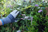 Spear & Jackson 5559BS Razorsharp Style Pruners, Vintage Bypass, Black & Silver...