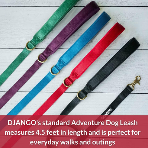 DJANGO Adventure Dog Leash – Strong, Comfortable, and Stylish Dog Leash with Solid Brass Hardware and Padded Handle - Designed for Outdoor Adventu...