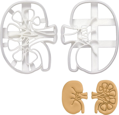 Set of 2 Kidney cookie cutters (Designs: External and Internal Kidney), 2 pieces - Bakerlogy...