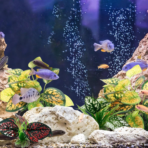 Reptile Artificial Plants, Terrarium Plants Decorations Supplies, Aquarium Fish Tank Plant, Amphibian Habitat Hideout Tank Accessories(M Set-4pcs/...