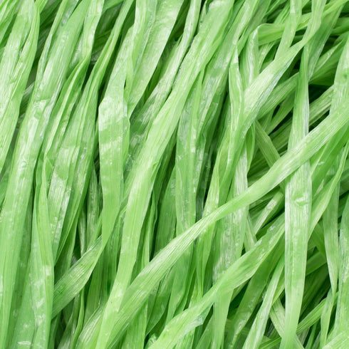 Luau Grass Table Skirt Natural Hawaiian Table Skirt Tropical Party Decorations 9 Feet x 29.5 Inch (Green)...