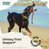 Urinary Tract Drops for Dogs - Bladder Support w/Corn Silk & Chanca Piedra Stone Breaker - Herbal Dog Food Supplements for Kidney Support - Liquid...
