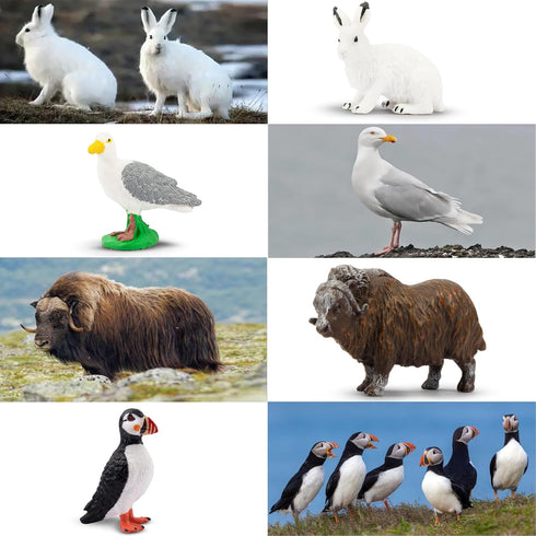 Toymany 14PCS Tiny Polar Animal Figurines, Plastic Arctic Animal Figure Set includes Polar Bear,Caribou,Penguin,Walrus, Wolf Figures, Cake Toppers...