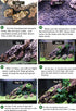 3 Aquarium Plant Se-e-d Combo, no ArtificiaL, Fresh Water Grass for Fish Tank Terrarium Dwarf Carpet,Universal substrate, not Plastic 11aab...