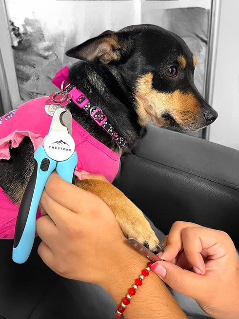 TheStone- Dog & Cat Pets Nail Clippers and Trimmers - Safety Guard to Prevent Over Cutting, Free Nail File - Nail Clipper Comes with Sharp Blade a...