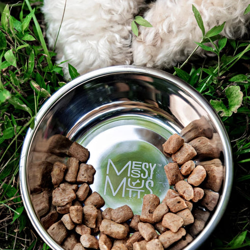 Messy Mutts Stainless Steel Heavy Gauge Bowl with Non-Slip Removable Silicone Base | Durable Indoor/Outdoor Dog Bowl | Warm Grey | Medium, 2.5 Cup...