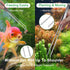 4Pcs Aquascaping Tools Kit, Jeimier Aquascape Tools Long and Strong Planted Aquarium Tweezers, Scissors, Aquarium Algae Scraper, Aquarium Plant To...