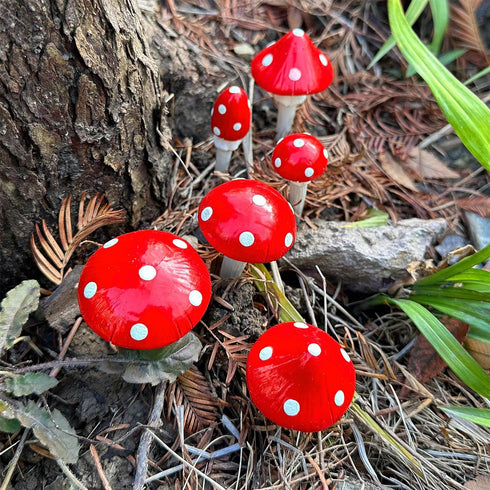 Juegoal Set of 6 Fairy Garden Miniature Mushrooms Statues, Glow in Dark Mini Red Mushroom Resin Figurines, Outdoor Garden Yard Art Accessories, Fl...