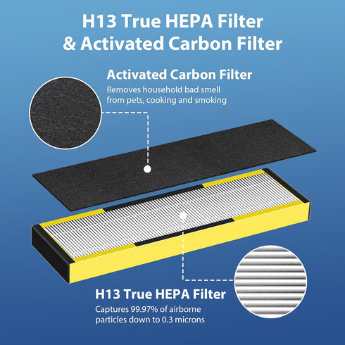FLT4825 Filter B Replacement for Guardian, FLT4825 True HEPA Replacement Filter, Compatible with Guardian Air Purifier AC4825 AC4300 AC4800 AC4900...