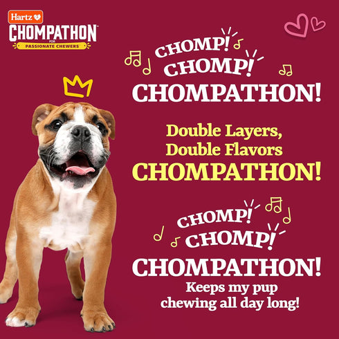 Hartz New Chompathon Gripper Bone Dog Chew Toy for Aggressive Chewers, Double Layered Flavored with Chicken & Bacon...