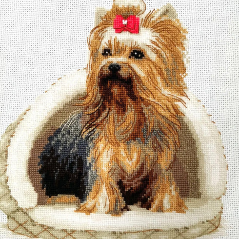 RIOLIS Counted Cross Stitch kit 2152 Yorkshire Terrier...