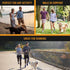 Active Pets Strong Dog Leash with Padded Handle, 4 Sizes from Puppy Leash to 6ft Dog Leash for Large Dogs, Dog Leash 6ft-4ft Long, Comfortable 6ft...