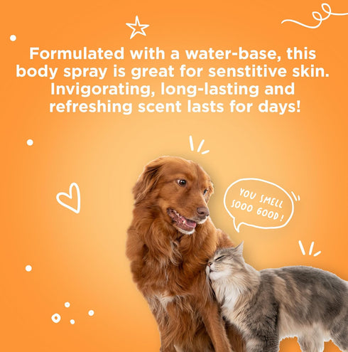 First Impressions Dog Cologne Spray - A Sniff-Worthy Cucumber Melon Scented Dog Deodorizing Spray - Body Freshness for Dogs & Cats - A Purr-fectly...