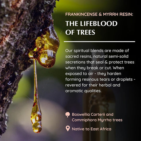 Frankincense & Myrrha Natural Resin Mist Spray by Aromafume | 100 ml / 3.3oz | Ideal for deep relaxation, spirituality & rituals | Made with Pure ...