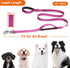 TwoEar 4FT 1IN Strong Rose Dog Leash with 2 Padded Handles, Traffic Handle Extra Control, Comfortable Soft Dual Handle, Auto Lock Hook, Reflective...