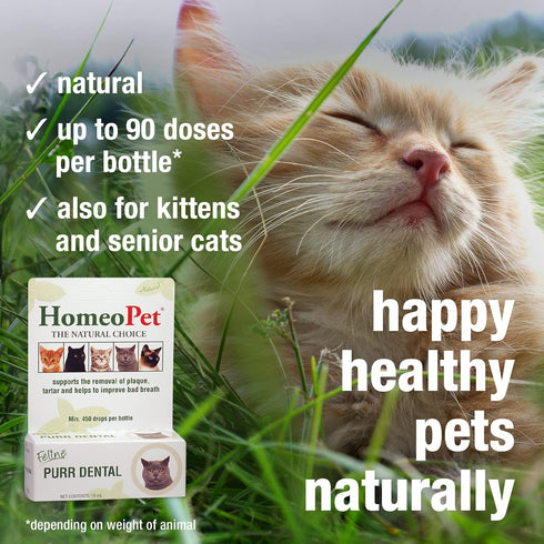 HomeoPet Feline Purr Dental, Dental Care for Cats, 15 Milliliters...