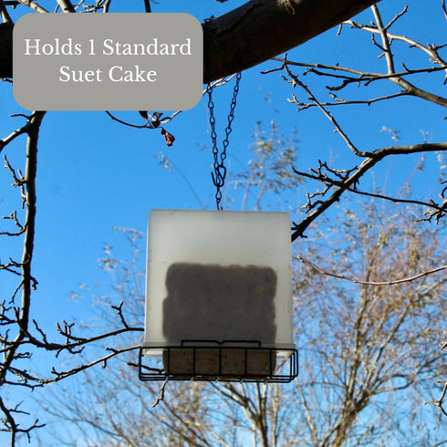 Songbird Essentials Suet Saver Upside Down Suet Feeder, Rigid Plastic Case with Suet Cage Bottom, Holds One Bird Seed Suet Cake...