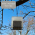 Songbird Essentials Suet Saver Upside Down Suet Feeder, Rigid Plastic Case with Suet Cage Bottom, Holds One Bird Seed Suet Cake...
