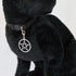 Black Cat Collar with Wiccan Pagan Pentacle Silver Finish On Safety Breakaway Collar Adjustable Neck Size 8 to 12 Inches...