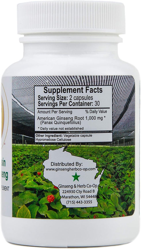 100% Pure Wisconsin American Ginseng Capsules - 500mg. Authentic Panax Quinquefolius. Potent Ground Ginseng Root - No Fillers, Binders or Other Ad...