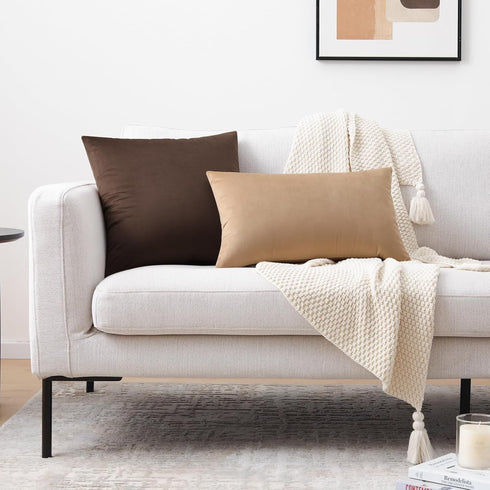Mixhug Set of 2 Cozy Velvet Square Decorative Throw Pillow Covers for Couch and Bed, Coffee Brown, 18 x 18 Inches...