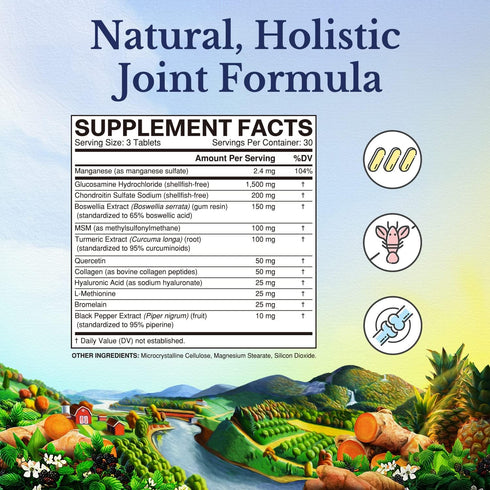 VITALITOWN Glucosamine Chondroitin MSM | Collagen, Boswellia, Turmeric, Hyaluronic Acid, Bromelain | Triple Action+ Joint Formula | 12 Joint-Lovin...