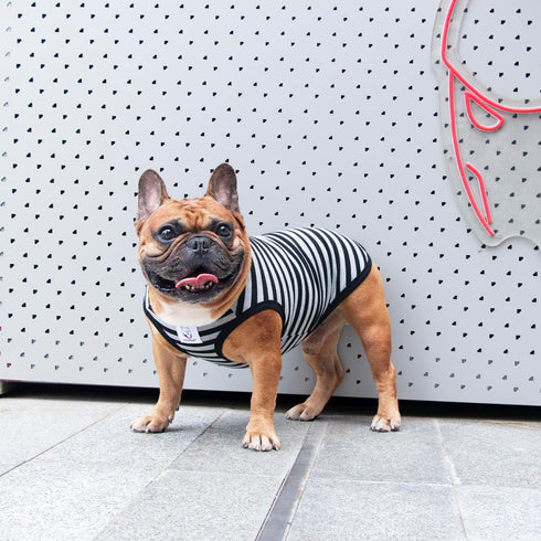 iChoue French Bulldog 100% Breathable Cotton Striped T Shirts Summer Cooling Vest Clothes for Medium Dogs Tank Tops Frenchie Pug English Boston Te...