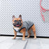 iChoue French Bulldog 100% Breathable Cotton Striped T Shirts Summer Cooling Vest Clothes for Medium Dogs Tank Tops Frenchie Pug English Boston Te...