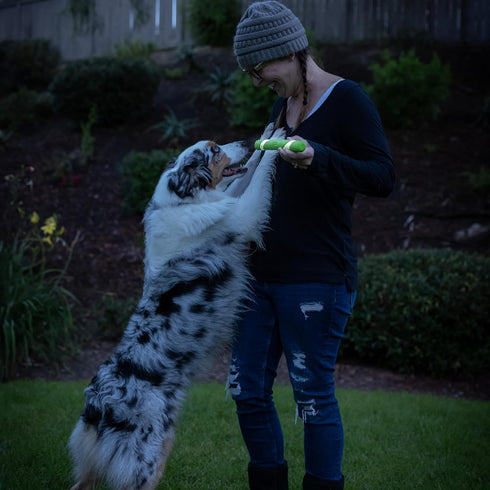 Chuckit! Max Glow Ultra Fetch Stick Outdoor Dog Toy, 12 Inches, for All Breed Sizes...