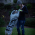 Chuckit! Max Glow Ultra Fetch Stick Outdoor Dog Toy, 12 Inches, for All Breed Sizes...