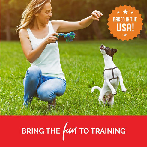 Buddy Biscuits Trainers Training Bites Soft & Chewy Dog Treats, Beef, 10 oz. Pouch...